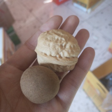 大个泰国桂圆干