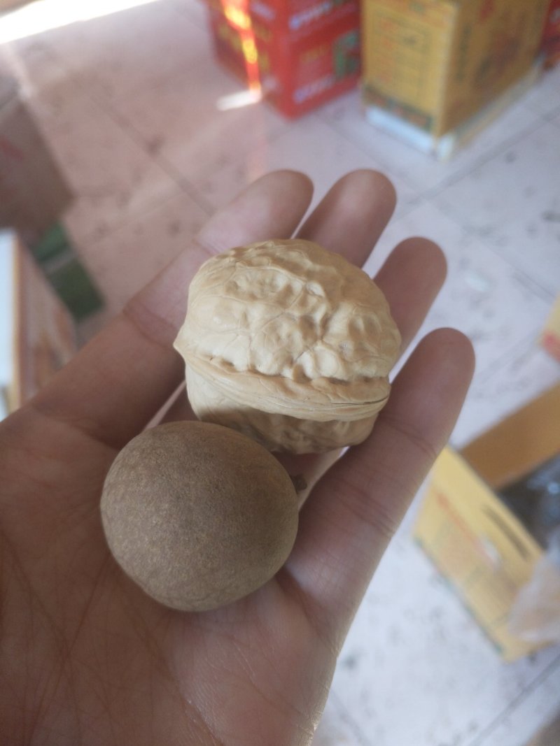 大个泰国桂圆干