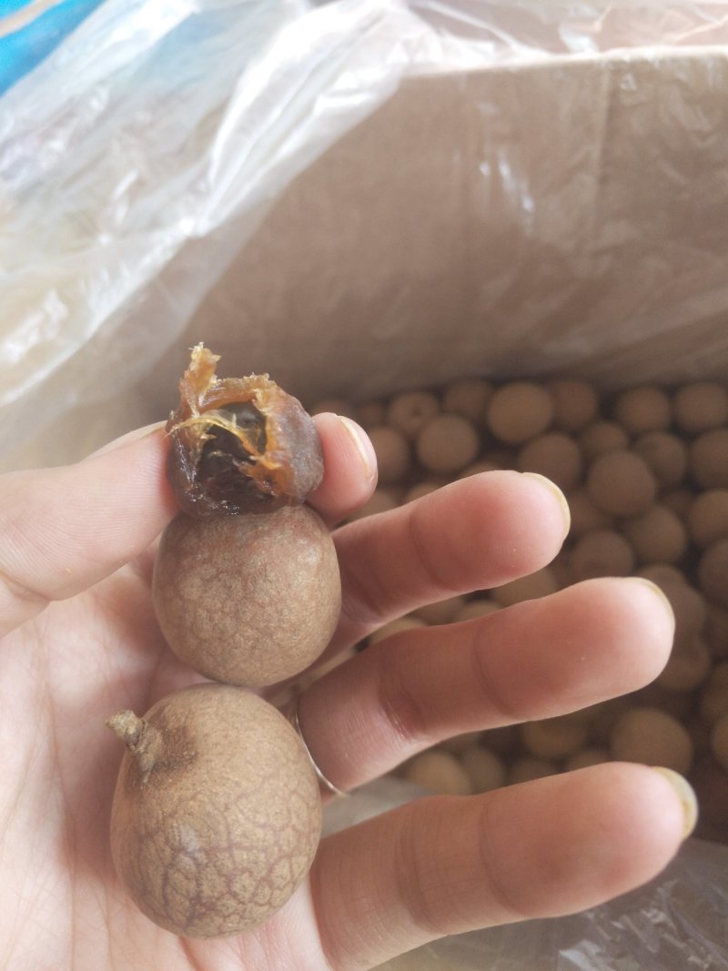 大个泰国桂圆干