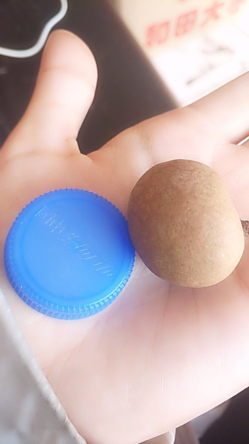 大个泰国桂圆干