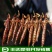 水蜻蜓水虿虫水蝎子食用蜻蜓幼若虫昆虫批发兼零售