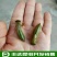 水蜻蜓水虿虫水蝎子食用蜻蜓幼若虫昆虫批发兼零售