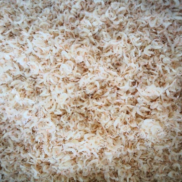 虾皮