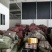 新疆伊犁大草原纯野生高原放养羊羔