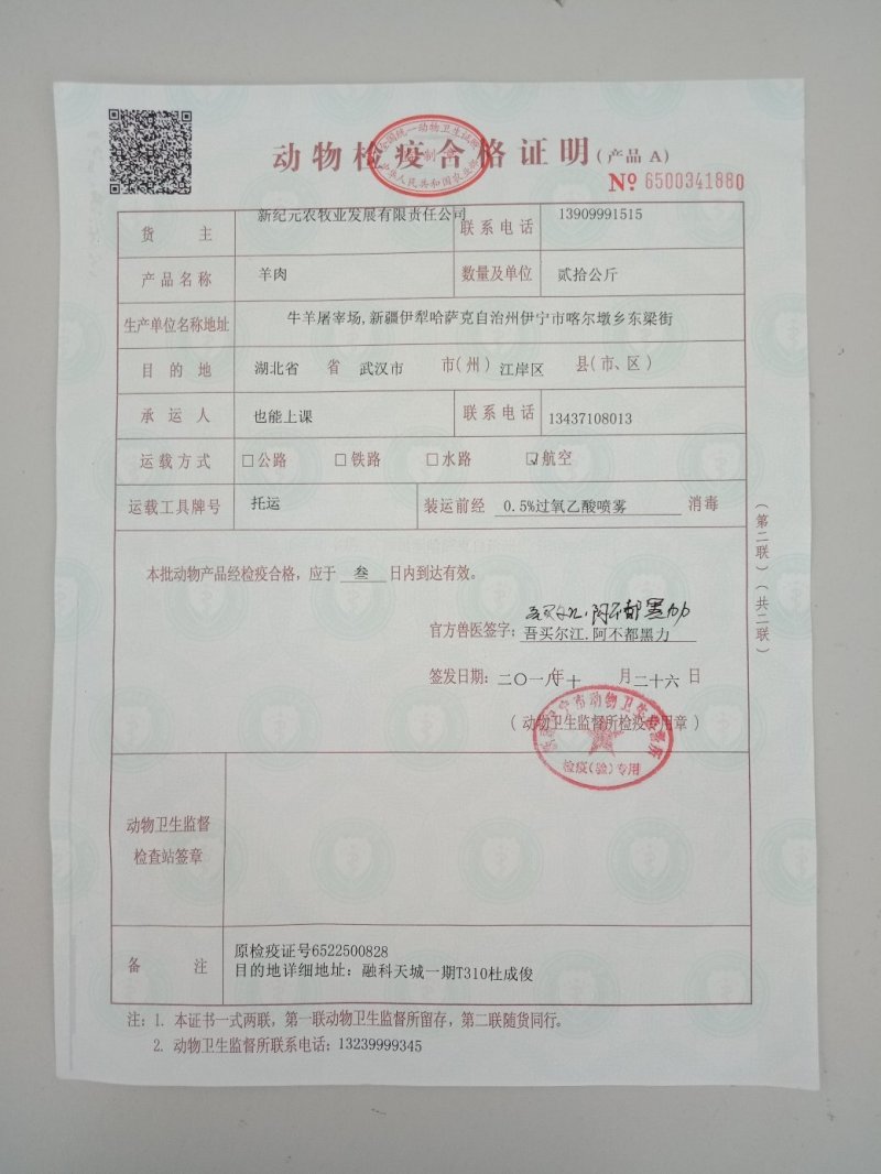 新疆伊犁大草原纯野生高原放养羊羔
