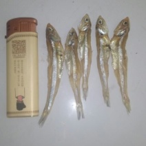 银鱼干，白凡鱼干，各种海鲜干货