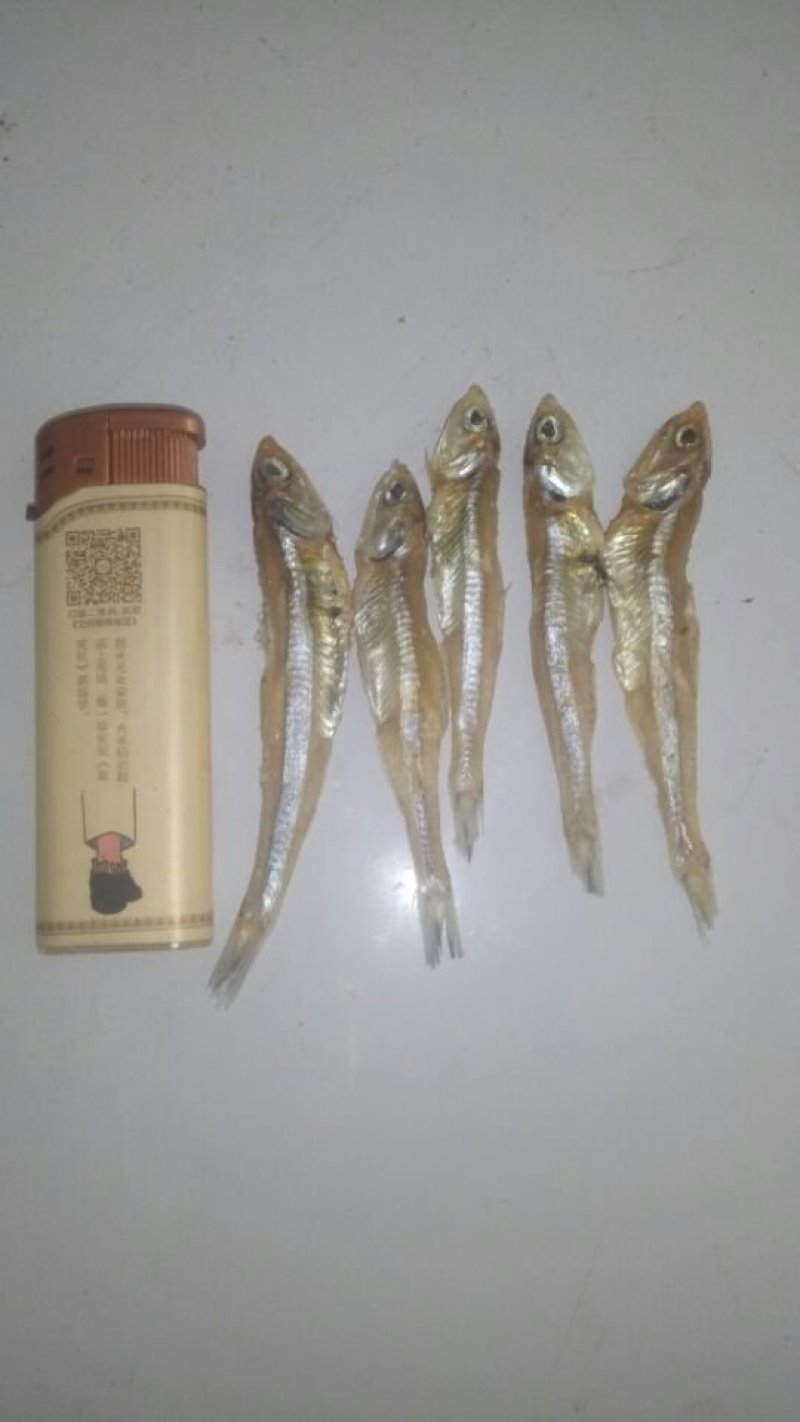 银鱼干，白凡鱼干，各种海鲜干货