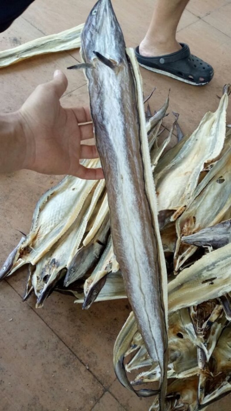 银鱼干，白凡鱼干，各种海鲜干货