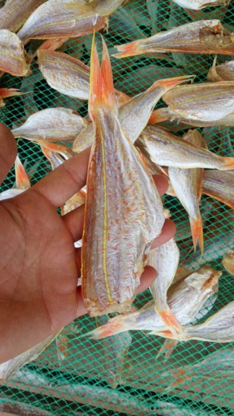 银鱼干，白凡鱼干，各种海鲜干货