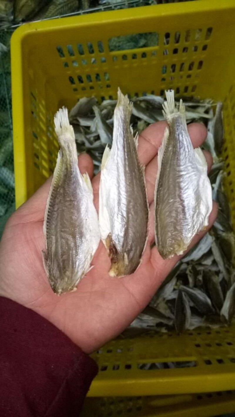 银鱼干，白凡鱼干，各种海鲜干货