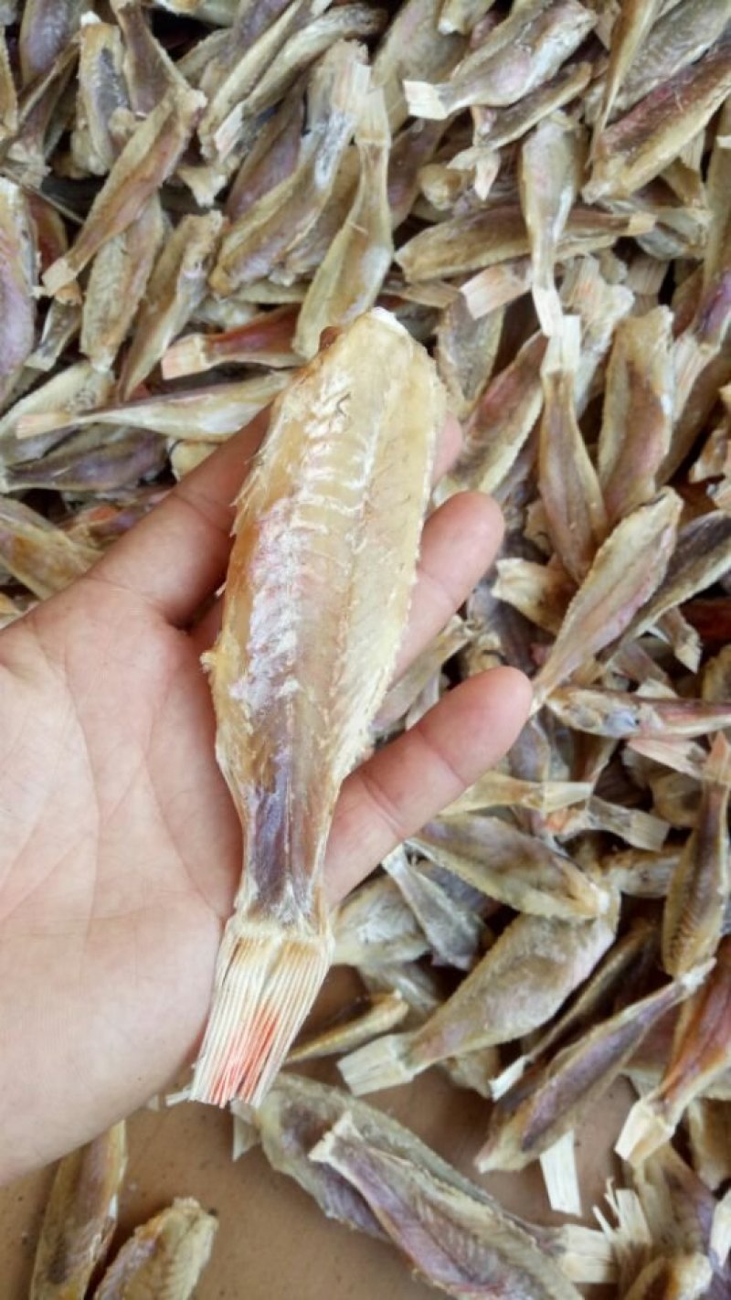 银鱼干，白凡鱼干，各种海鲜干货