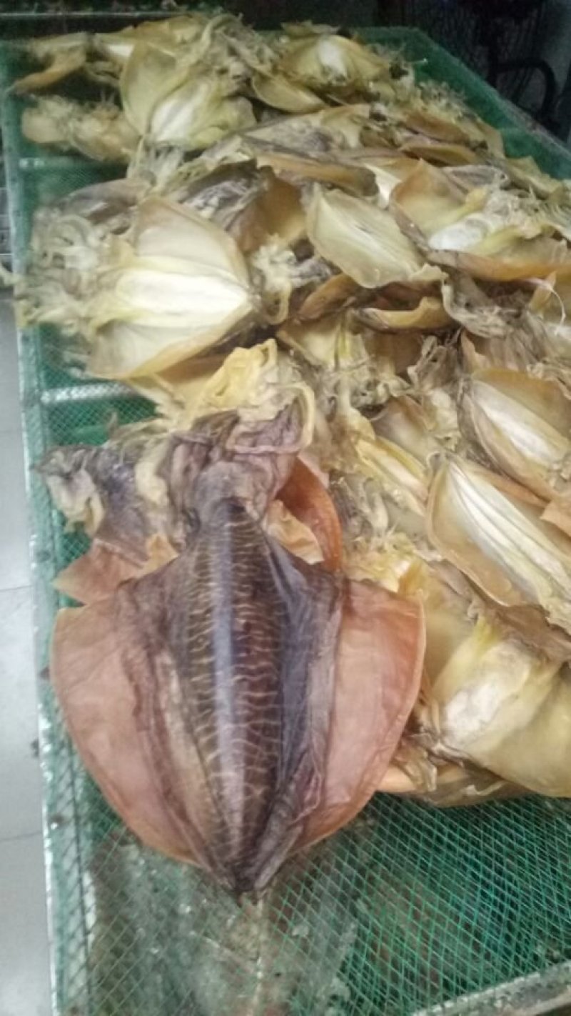 银鱼干，白凡鱼干，各种海鲜干货