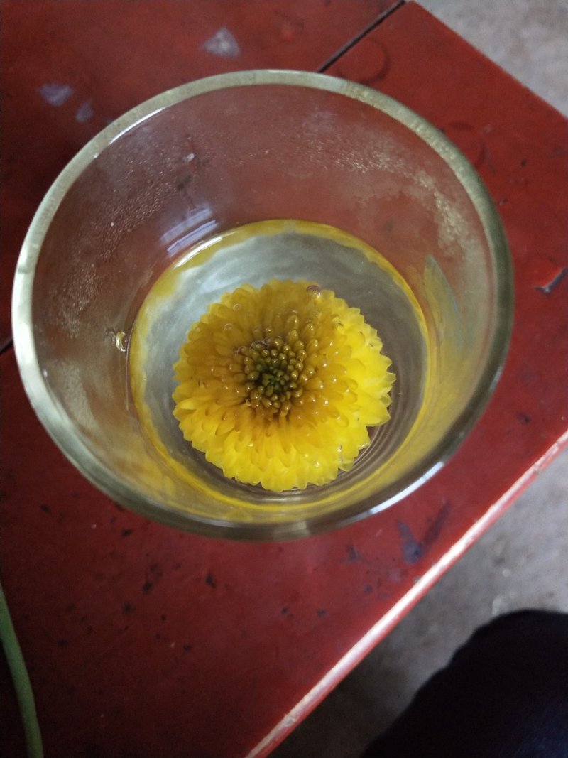干菊花