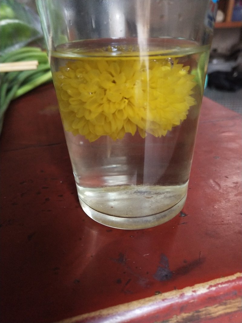干菊花