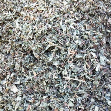 仙鹤草