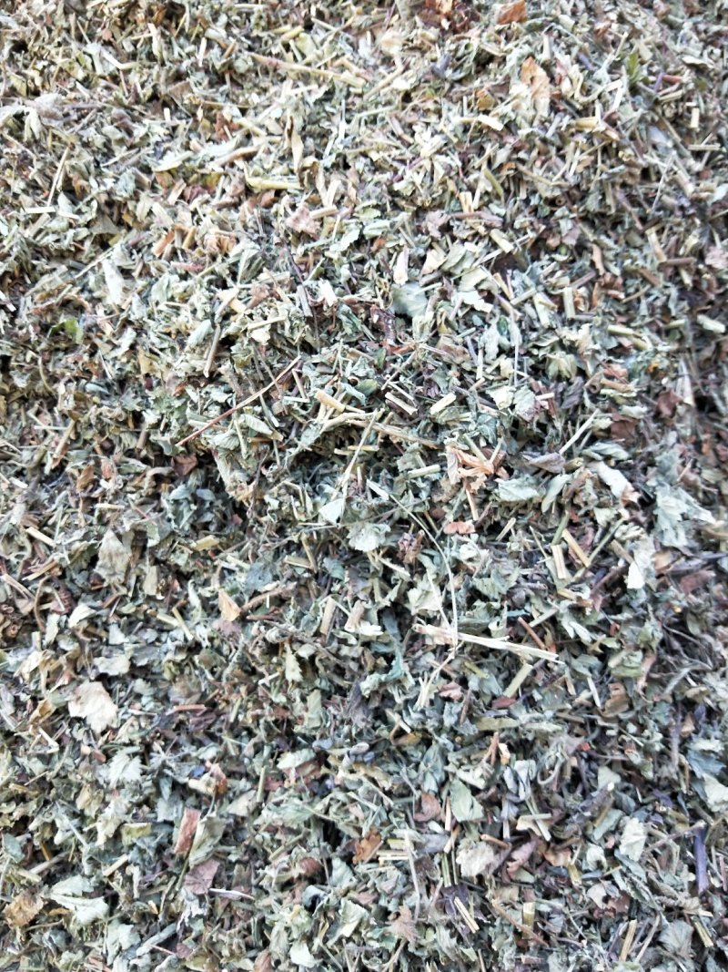 仙鹤草