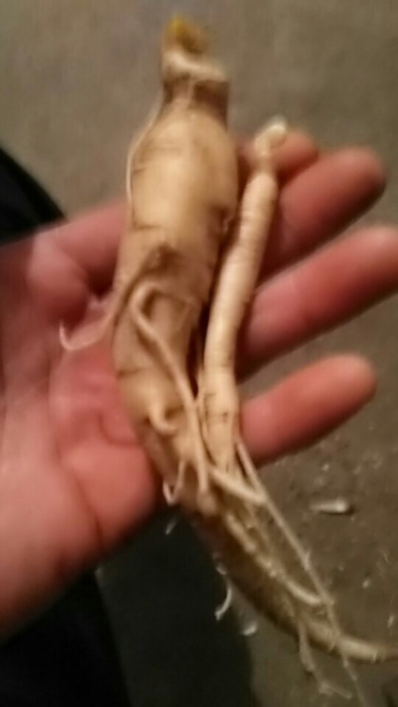 床参三年大小都有