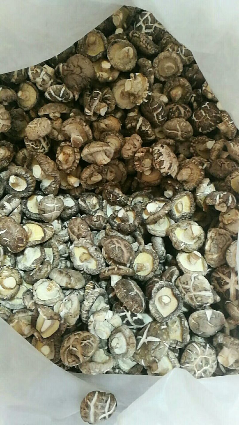食用菌干货