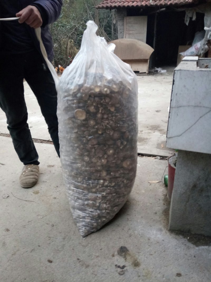 食用菌干货
