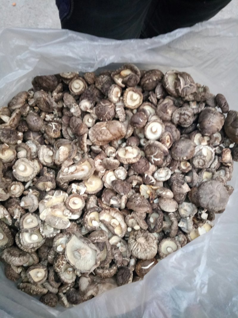 食用菌干货