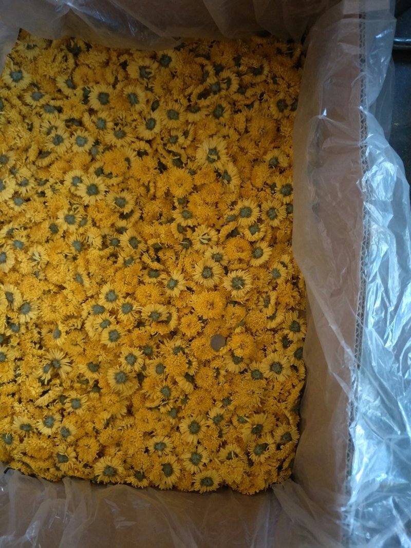 婺源皇菊花茶