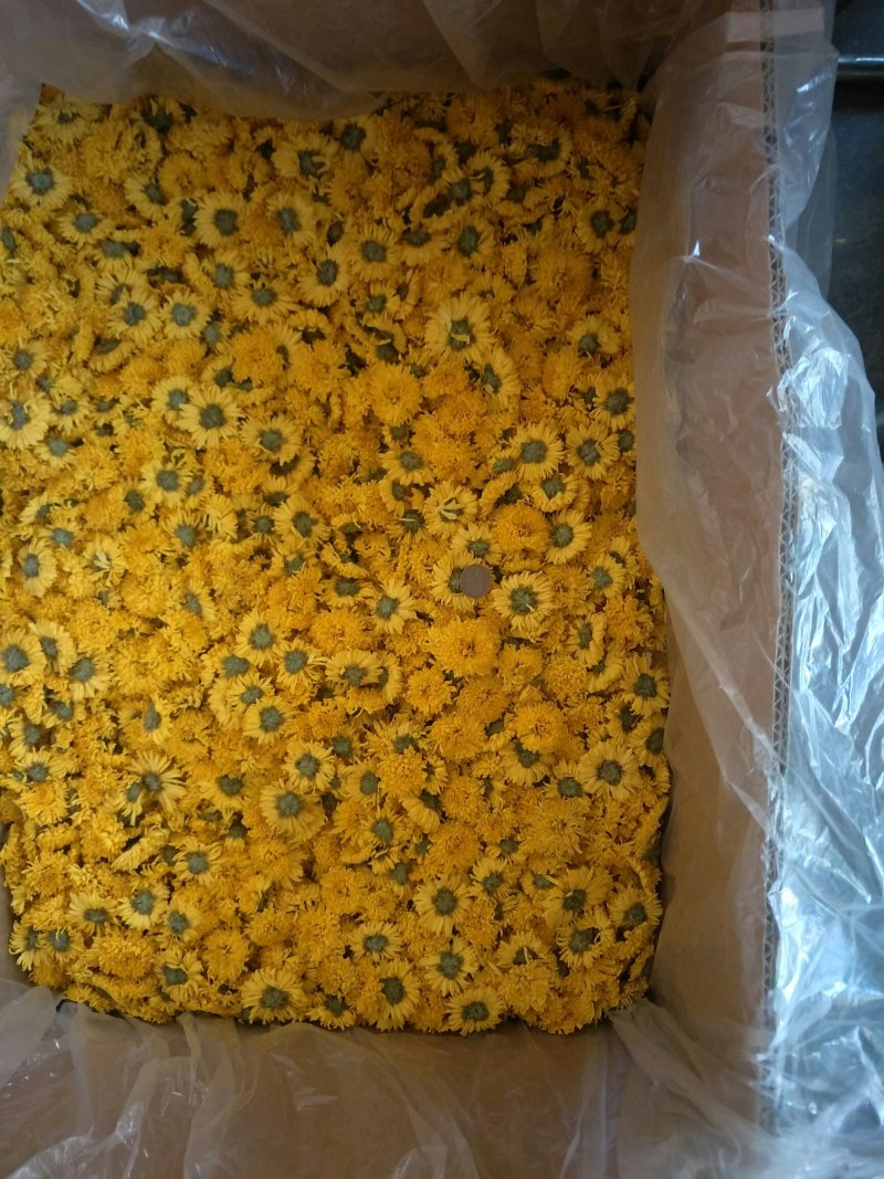 婺源皇菊花茶