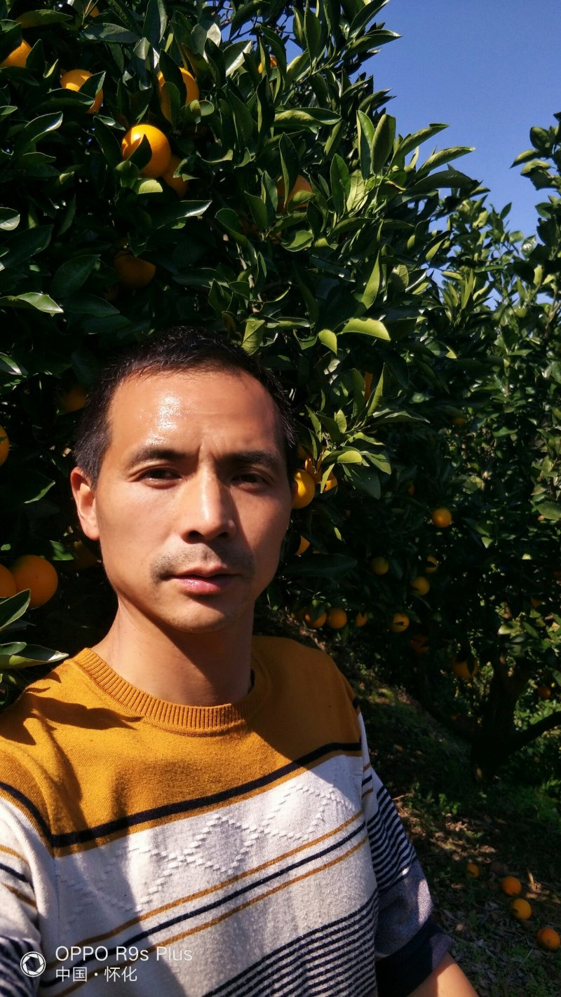 长虹纽荷尔、产地直供