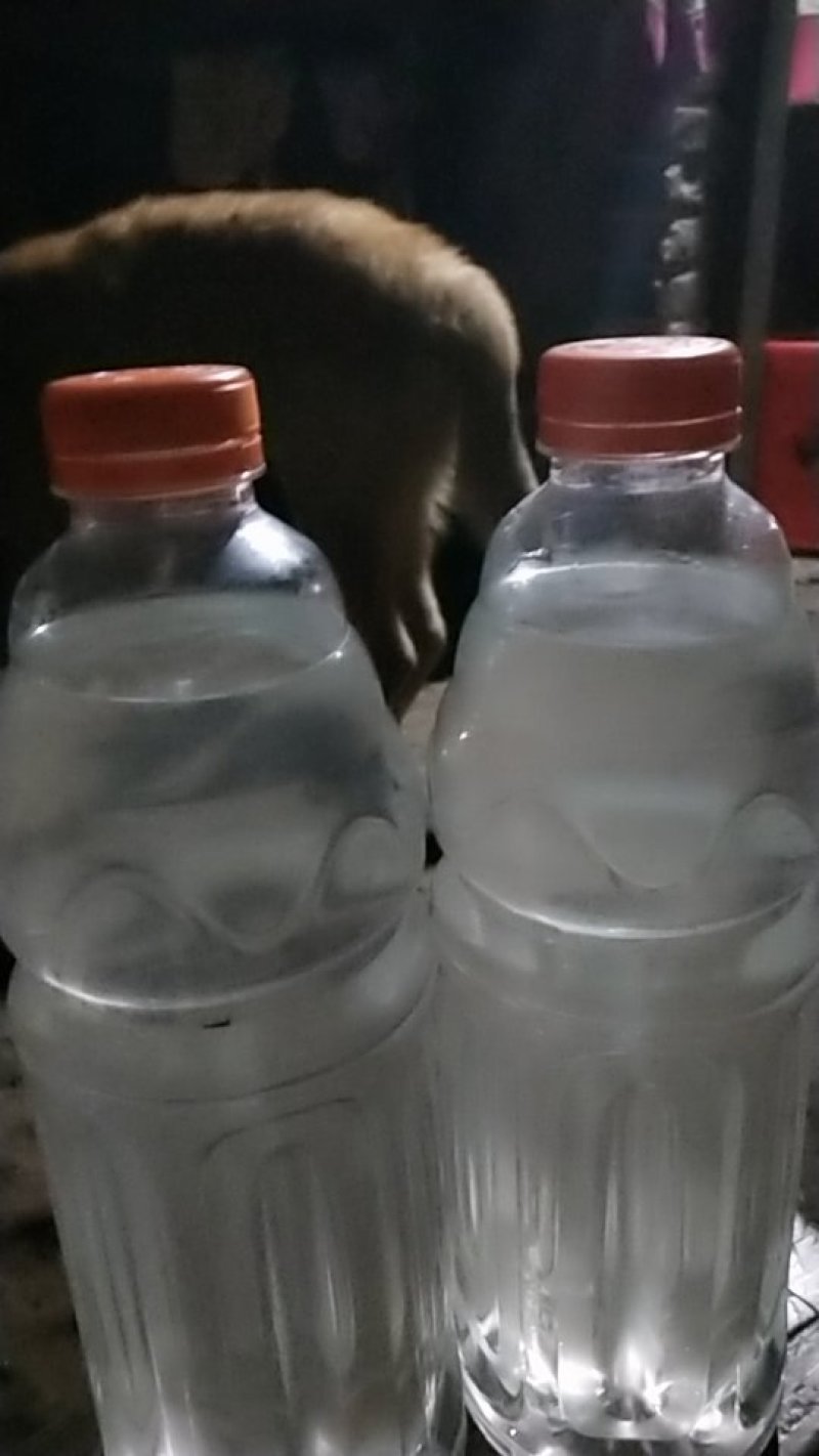大米米酒