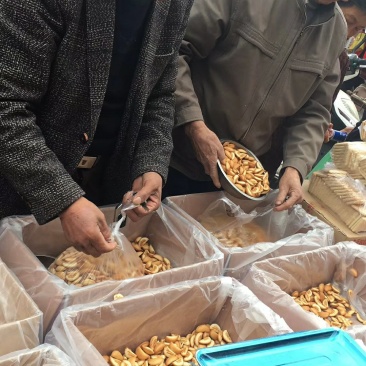 山药蛋黄饺