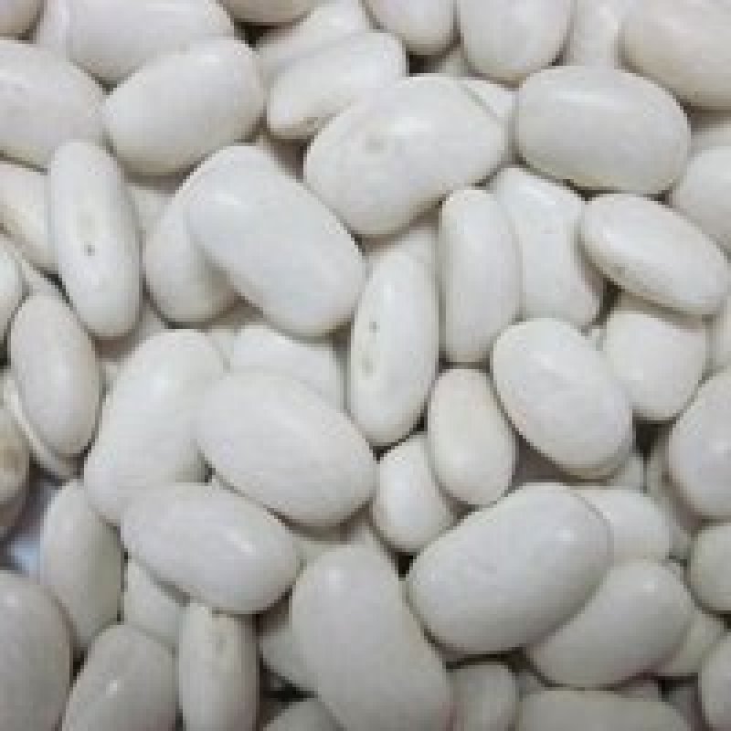 姚安县高寒冷凉山区白芸豆