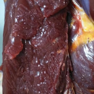 牛肉干