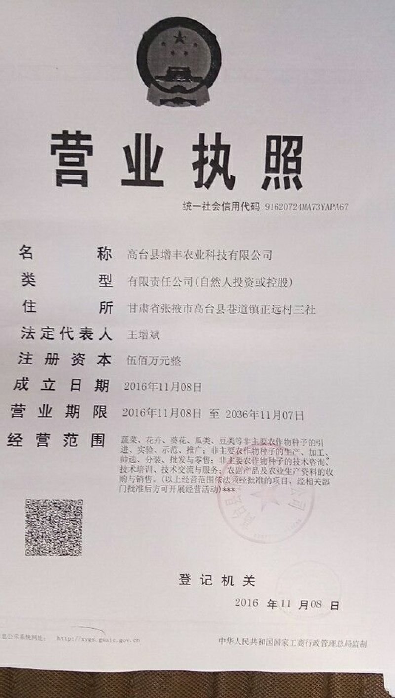 油葵种子606/矮大头667
