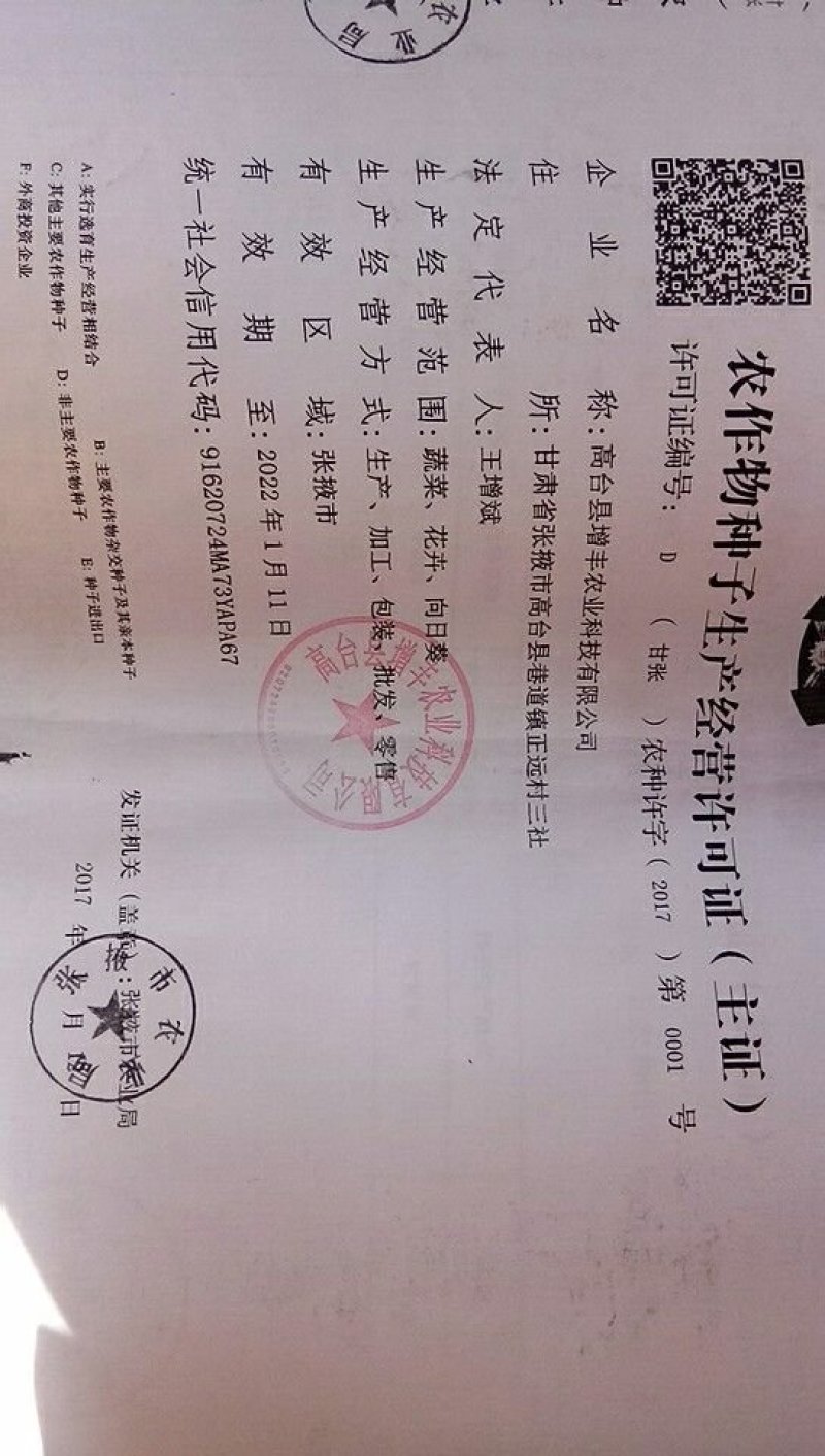 油葵种子606/矮大头667