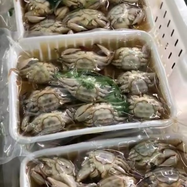 辽东凯韵