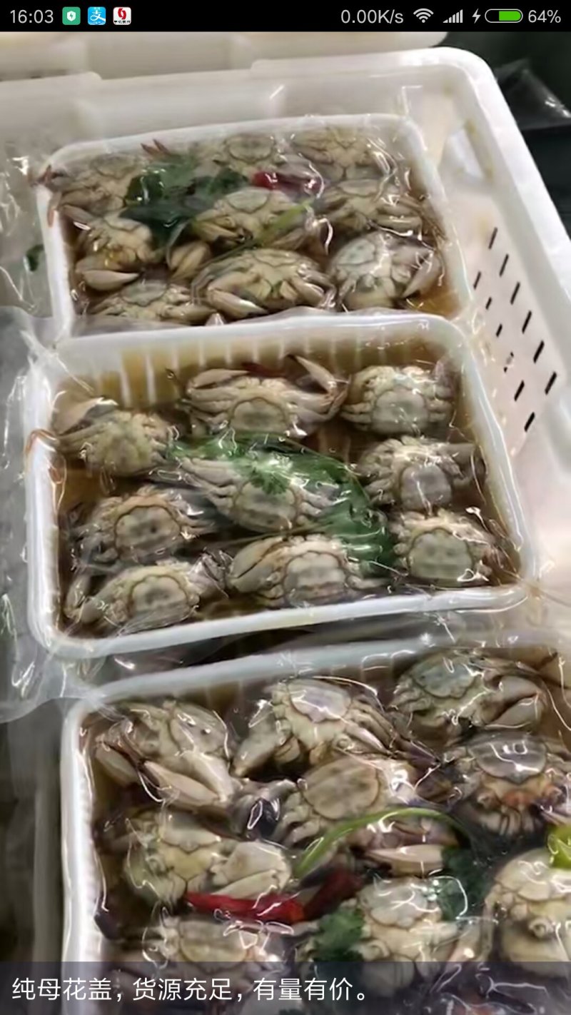 辽东凯韵