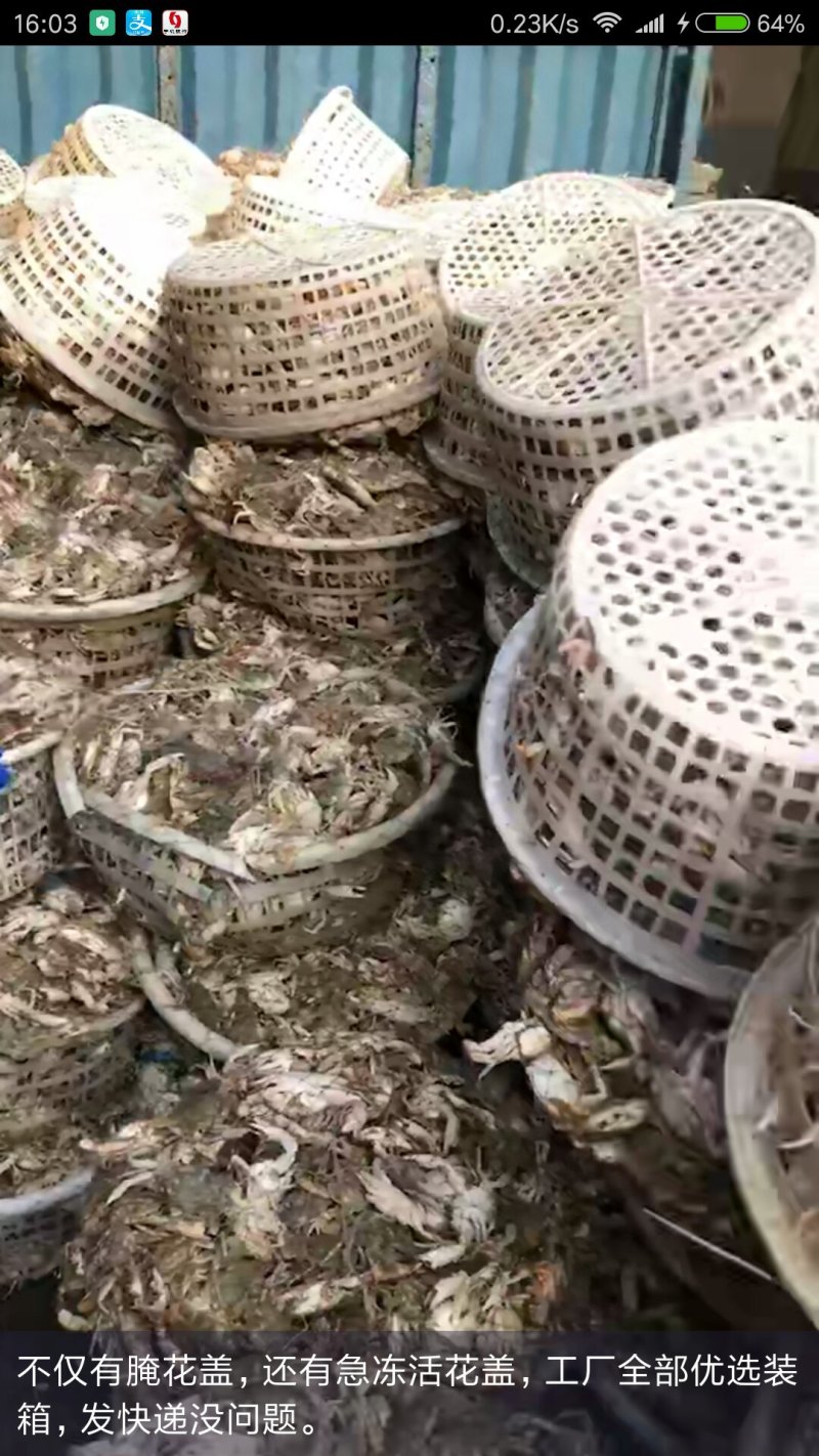 辽东凯韵