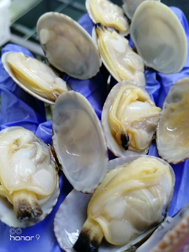 辽东凯韵