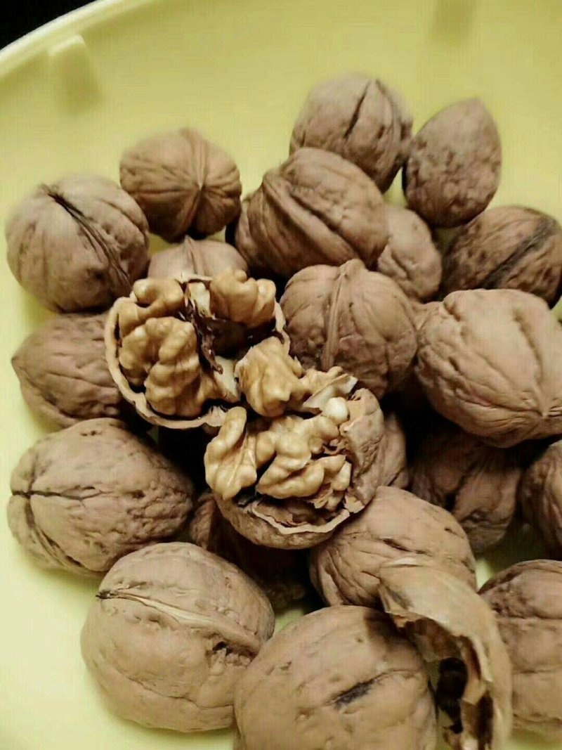 辽东凯韵