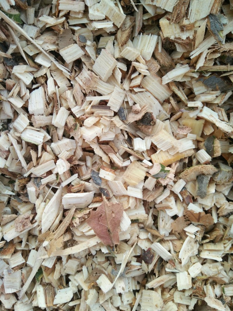出售纯木木屑和木耳料还有香菇菌棒