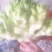 砀山儿菜