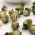 山茶花，中药材山茶花