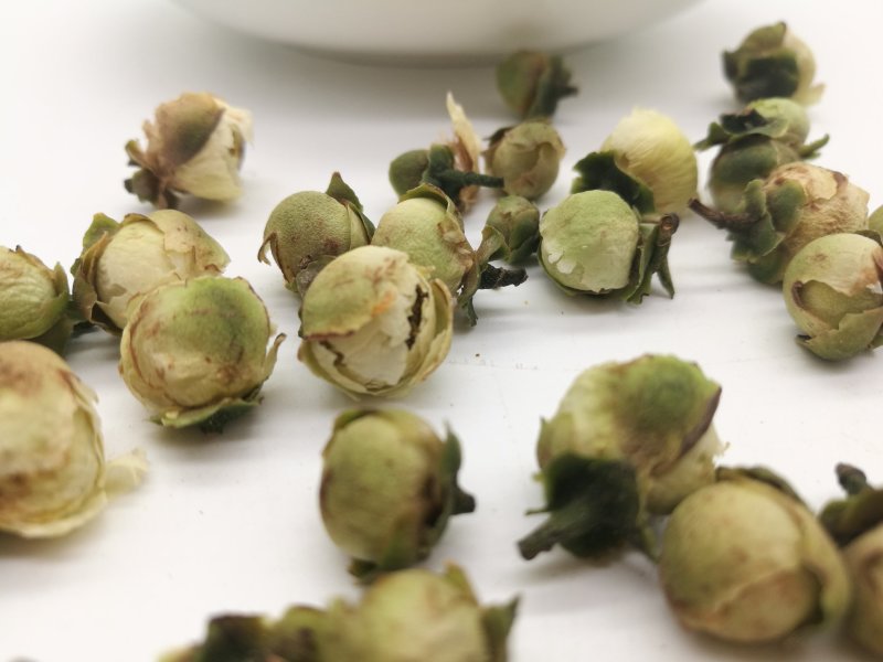 山茶花，中药材山茶花