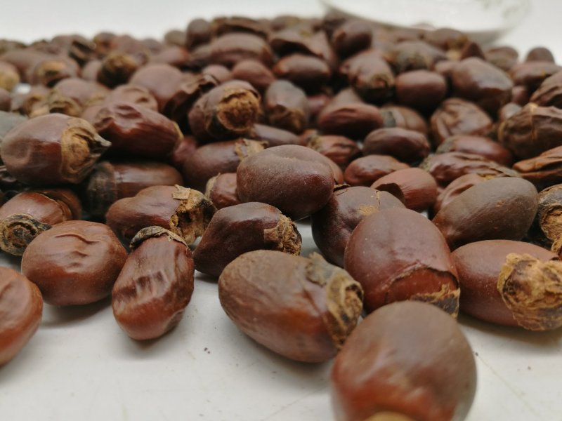 荔枝核，中药材荔枝核