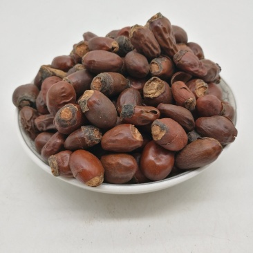荔枝核，中药材荔枝核