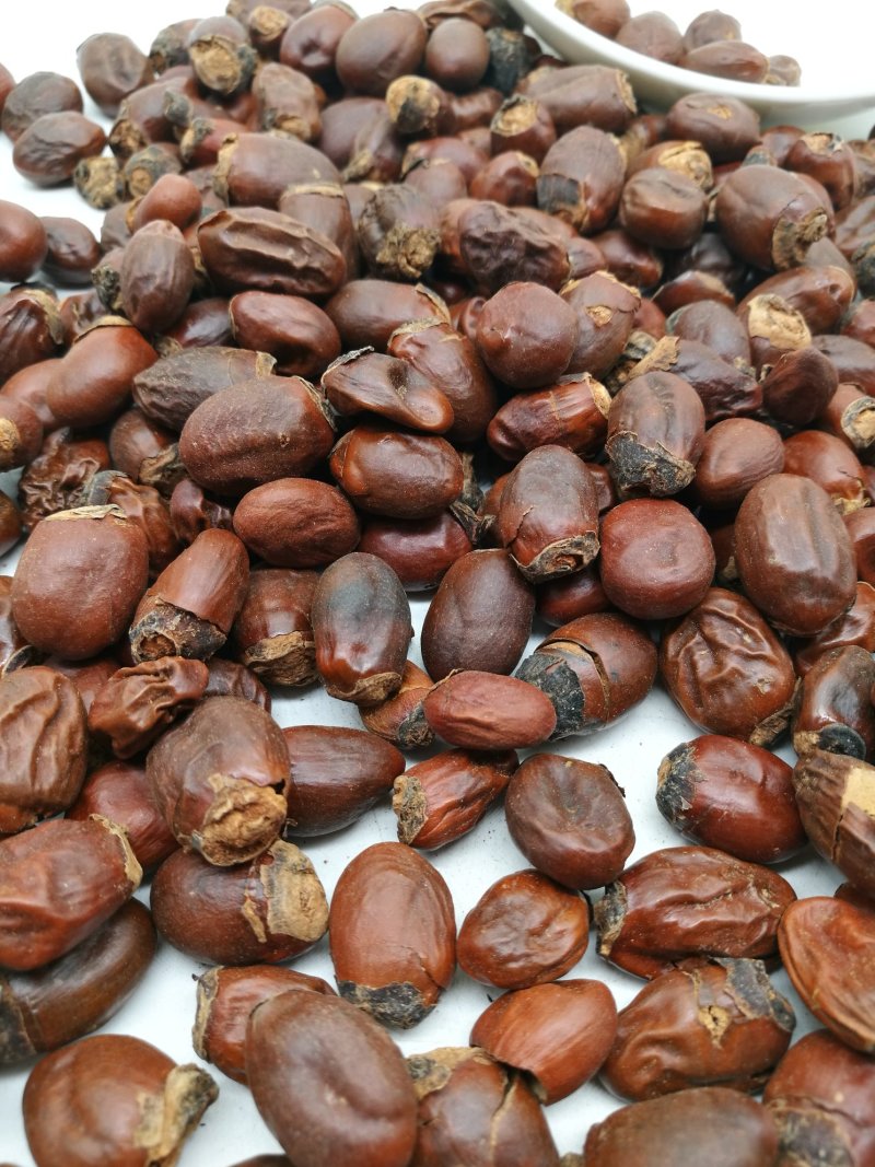 荔枝核，中药材荔枝核