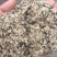 棉籽壳（平菇等栽培用广谱原料）