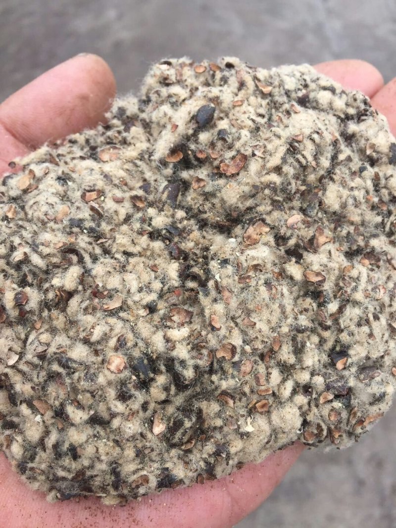 棉籽壳（平菇等栽培用广谱原料）