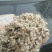 棉籽壳（平菇等栽培用广谱原料）