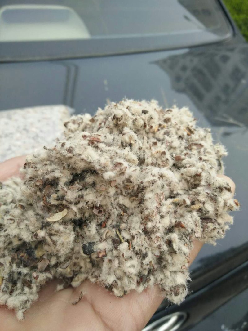 棉籽壳（平菇等栽培用广谱原料）