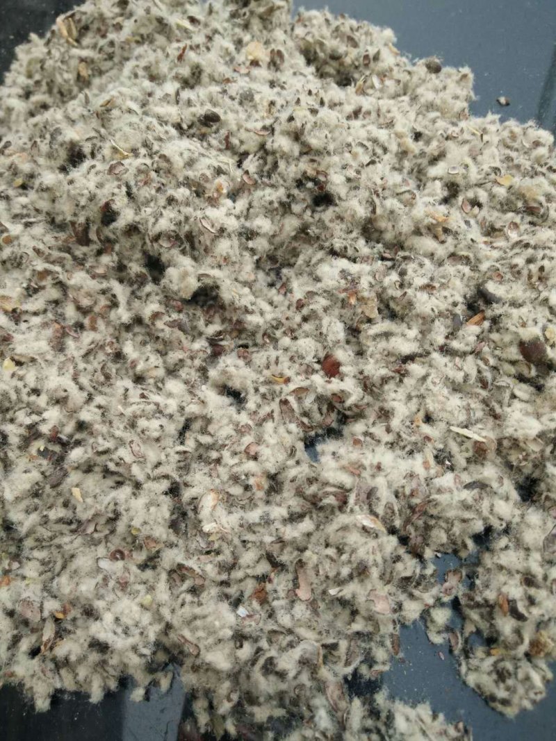 棉籽壳（平菇等栽培用广谱原料）